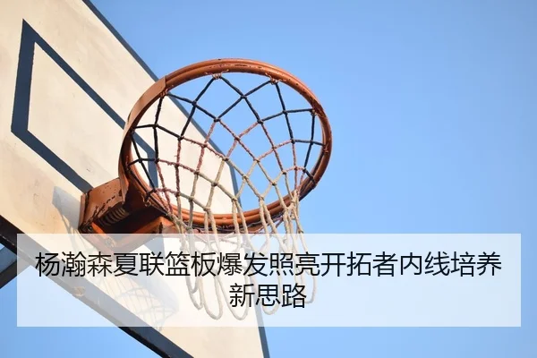 杨瀚森夏联篮板爆发照亮开拓者内线培养新思路